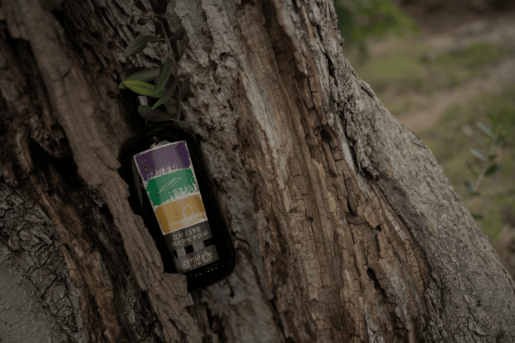 Olio Extravergine di Oliva
