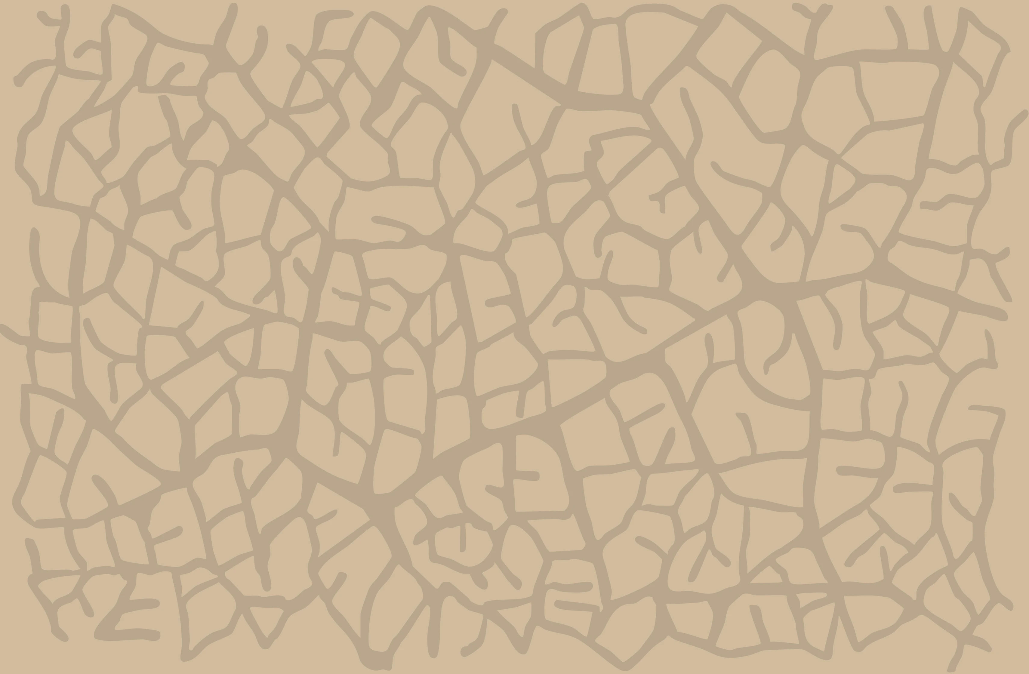 Zyme Intro